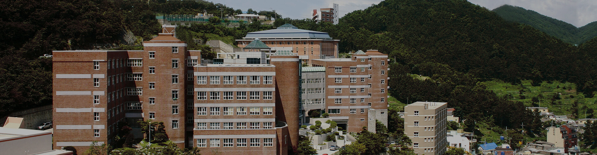 메인 이미지1
